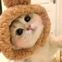 简单点