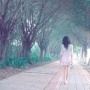 独狼玩家