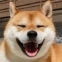 联机恐惧症